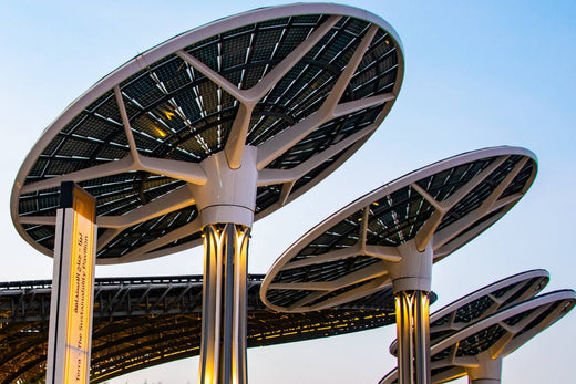 The Insiders’ Guide to Dubai Expo 2020