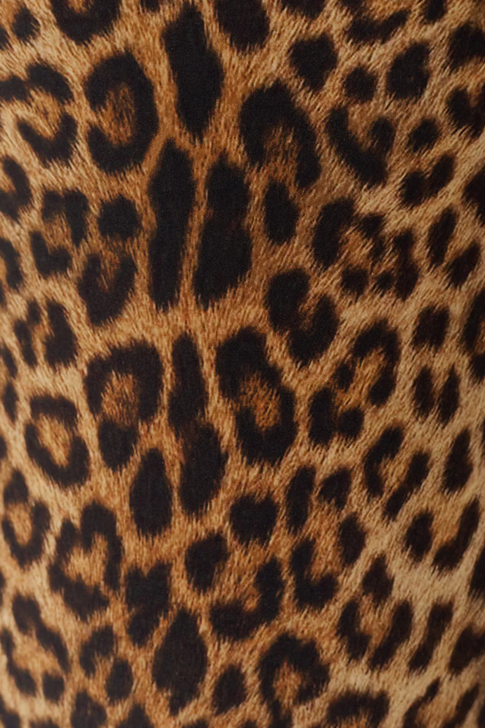 Load image into Gallery viewer, Cassis Bikini Bottom Cheetah
