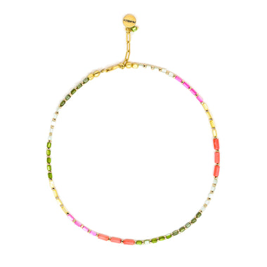 Parrot Choker Necklace - Necklace