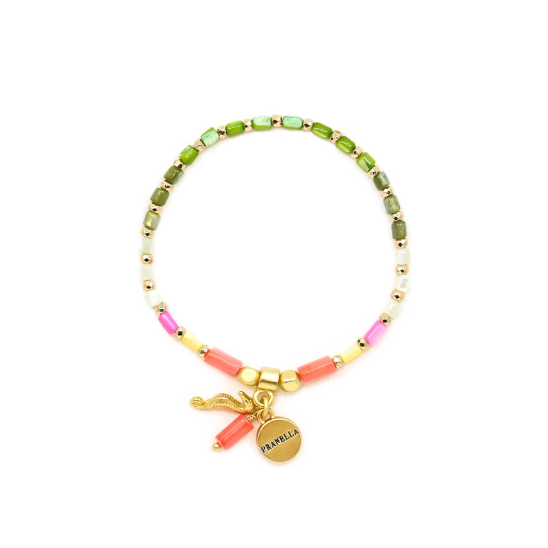Parrot Seahorse Bracelet