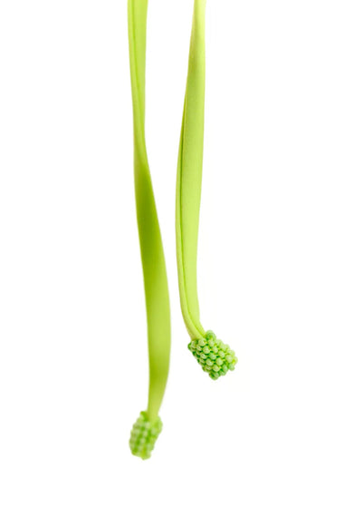 Tile Tammy Bikini Bottom Green - Bikini Bottom