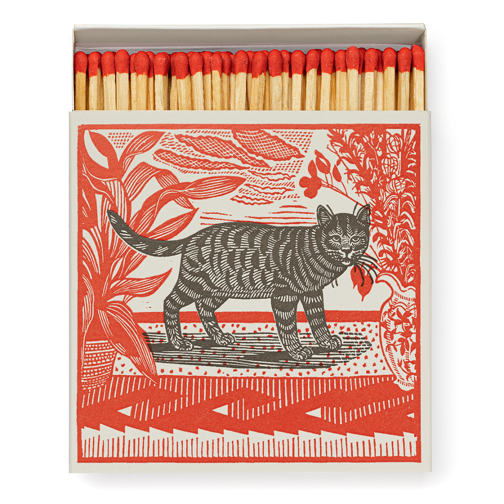 Sasha The Cat Square Matches