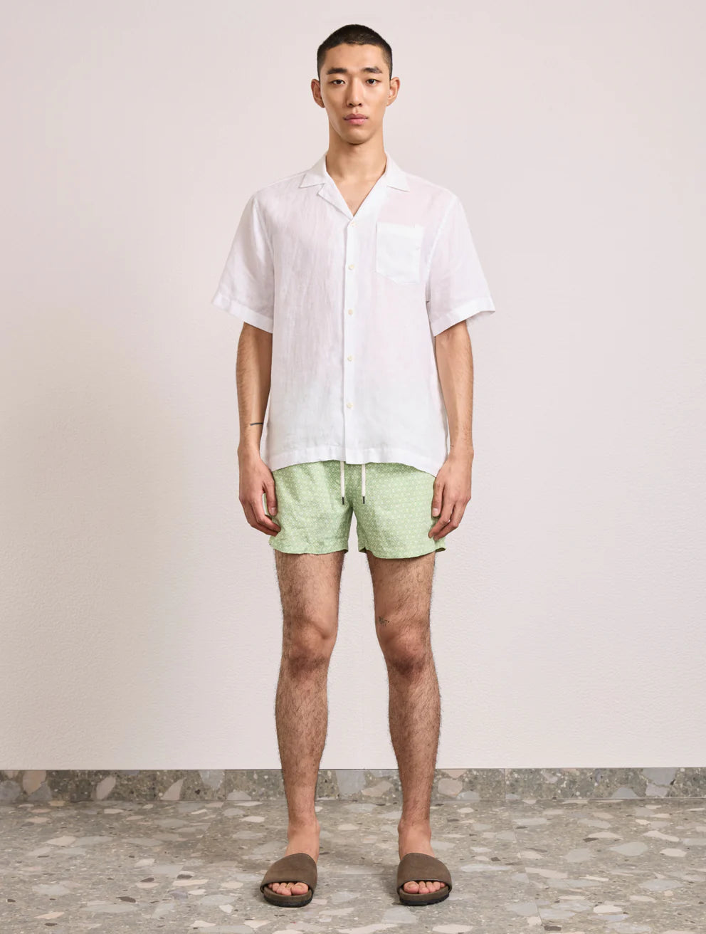 Load image into Gallery viewer, Rio Swim Short Ipanema Micro Print Pistachio
