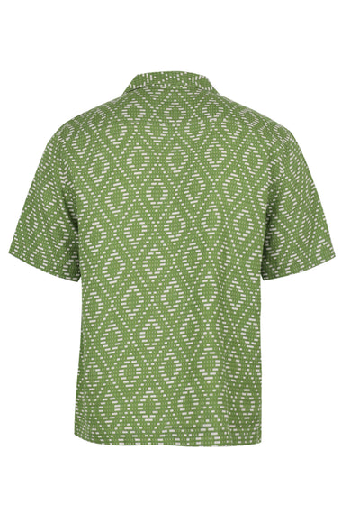 Roberto Linen Shirt Angra Raffia Print Parakeet Green