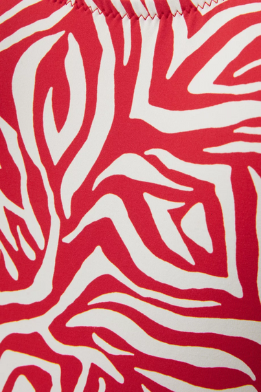 Cheeky One Piece Swimsuit in Red Zebra Print