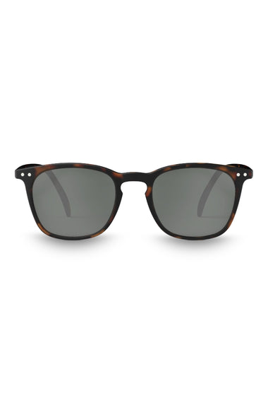 Sun E Tortoise