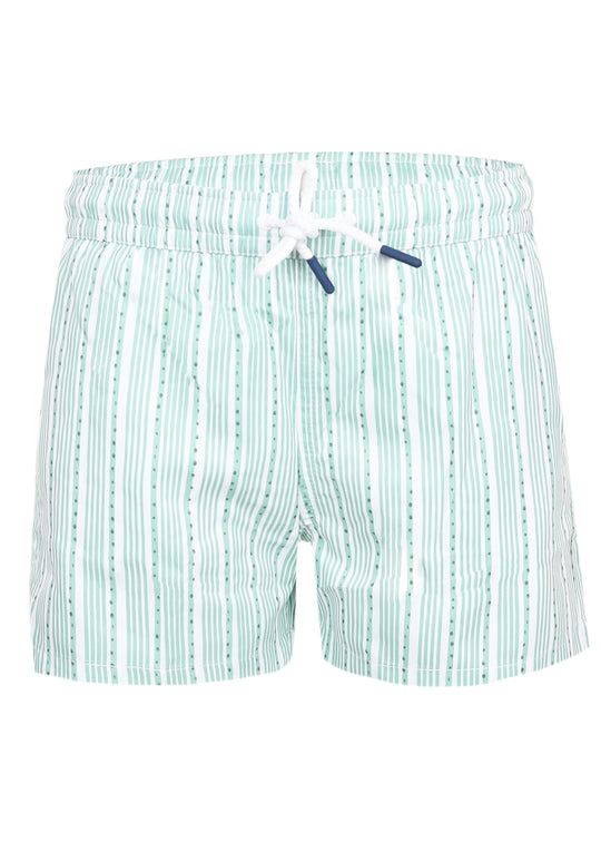 Load image into Gallery viewer, Men Swim Short Stripes Green
