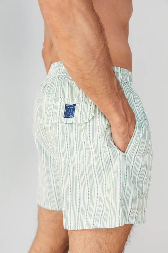 Load image into Gallery viewer, Men Swim Short Stripes Green
