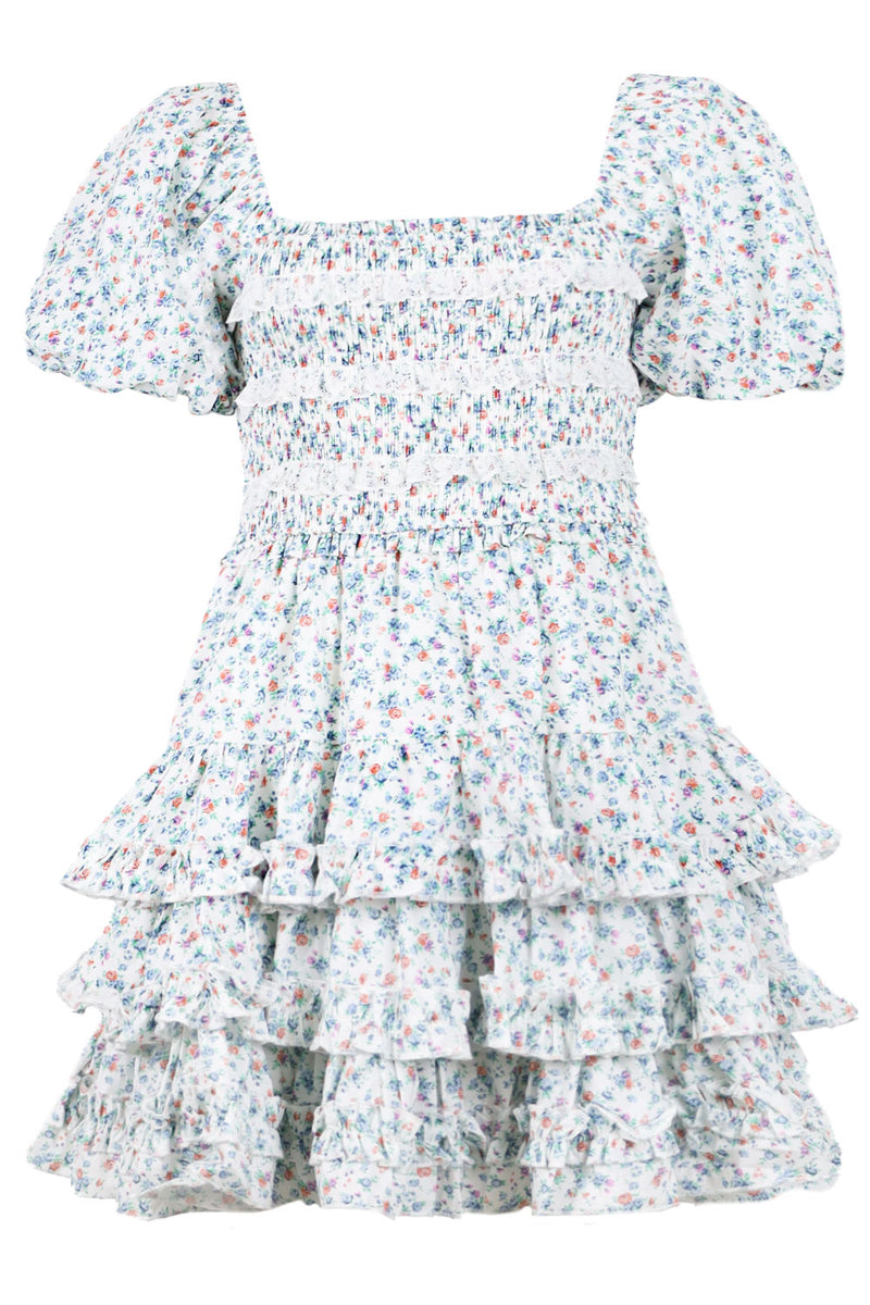 Floral Lace Mini Dress Blue Multi