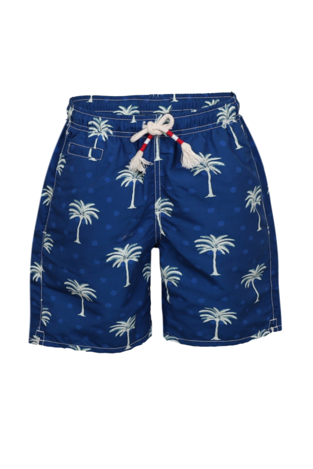 Load image into Gallery viewer, Caprese Palm Print Swim Shorts
