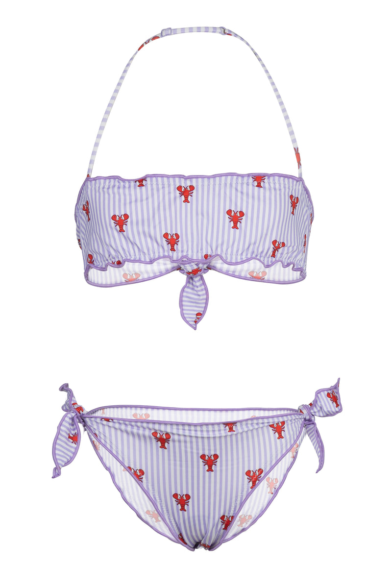 Emy Bandeau Bikini With Aragolove Stripes Print
