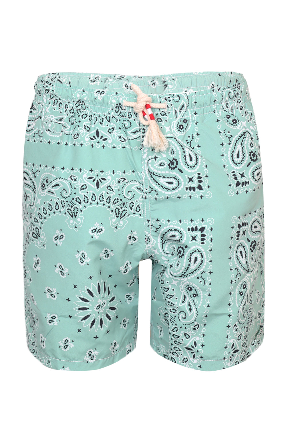 Load image into Gallery viewer, Men&amp;#39;s Swim Short Caprese with Sage Green Bandana Print
