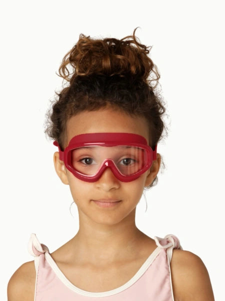 Load image into Gallery viewer, HANS Goggles Ruby Red
