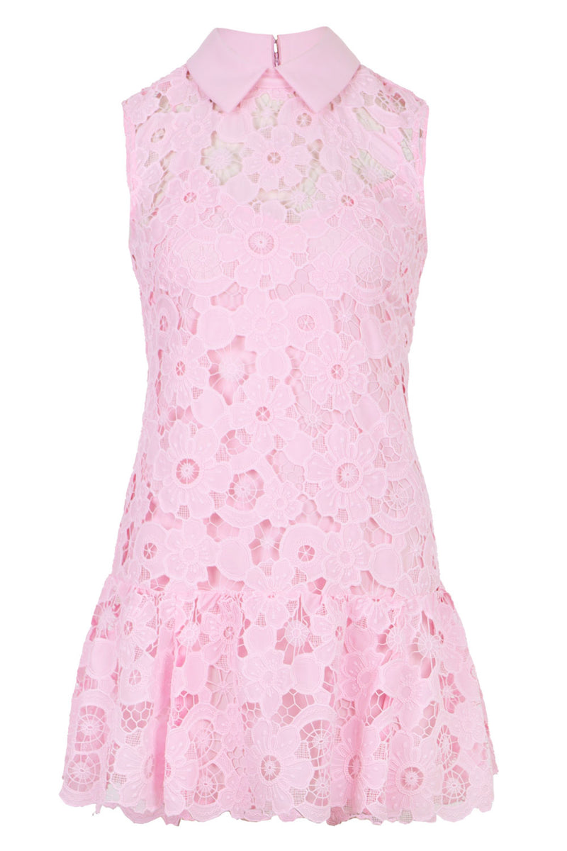 Pink Lace Collared Mini Dress