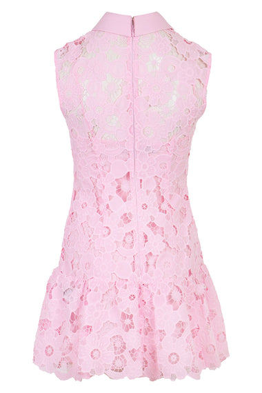 Pink Lace Collared Mini Dress