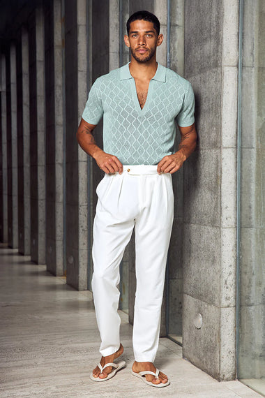 Ezra Short Sleeve Polo Knit Top Sage