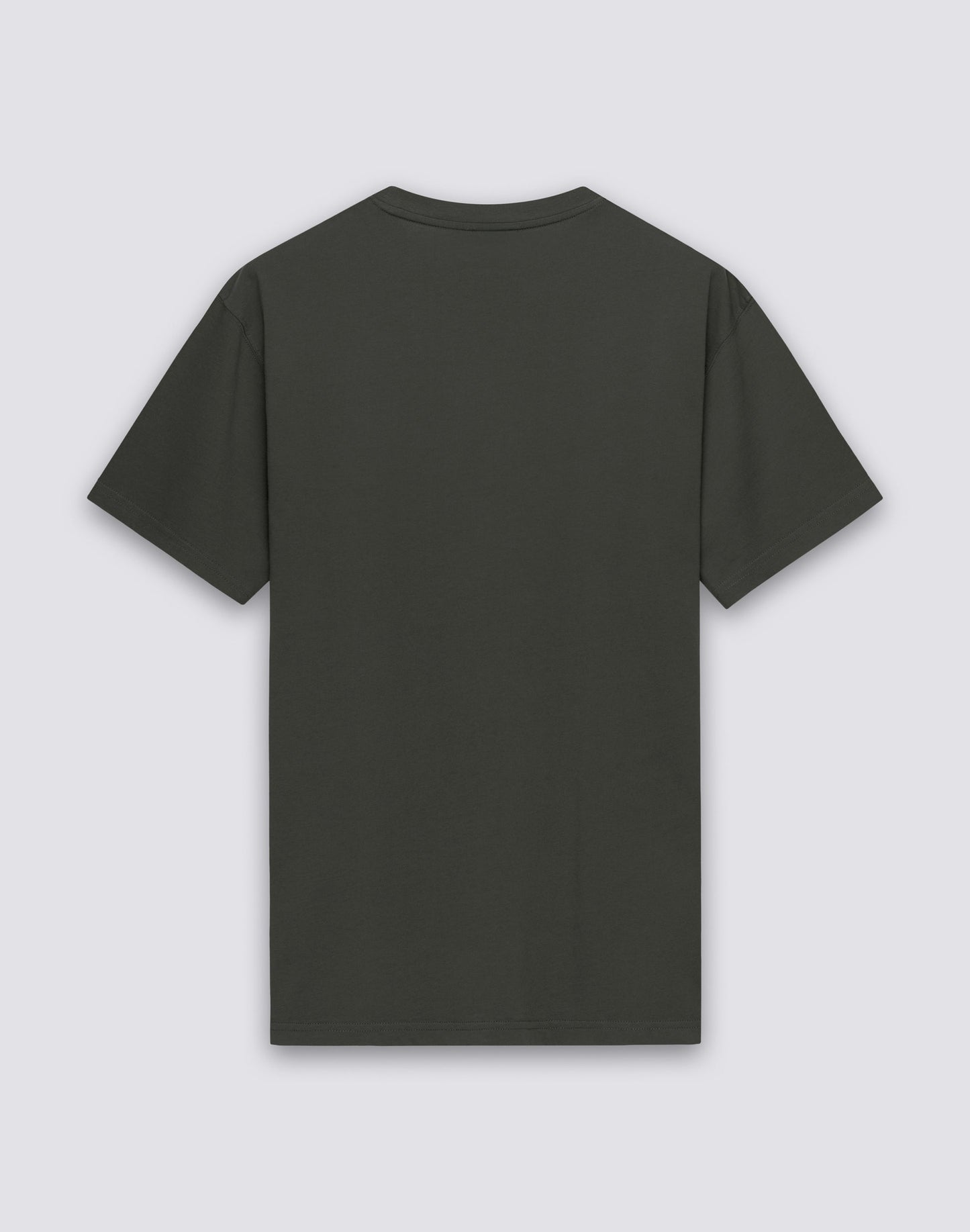 Load image into Gallery viewer, T-Shirt with Tricolour Embroidery in Dark Green
