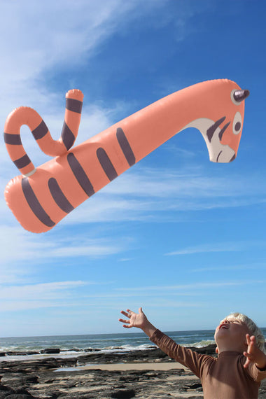 Kids Inflatable Noodle Tino Tiger Clay Set of 2