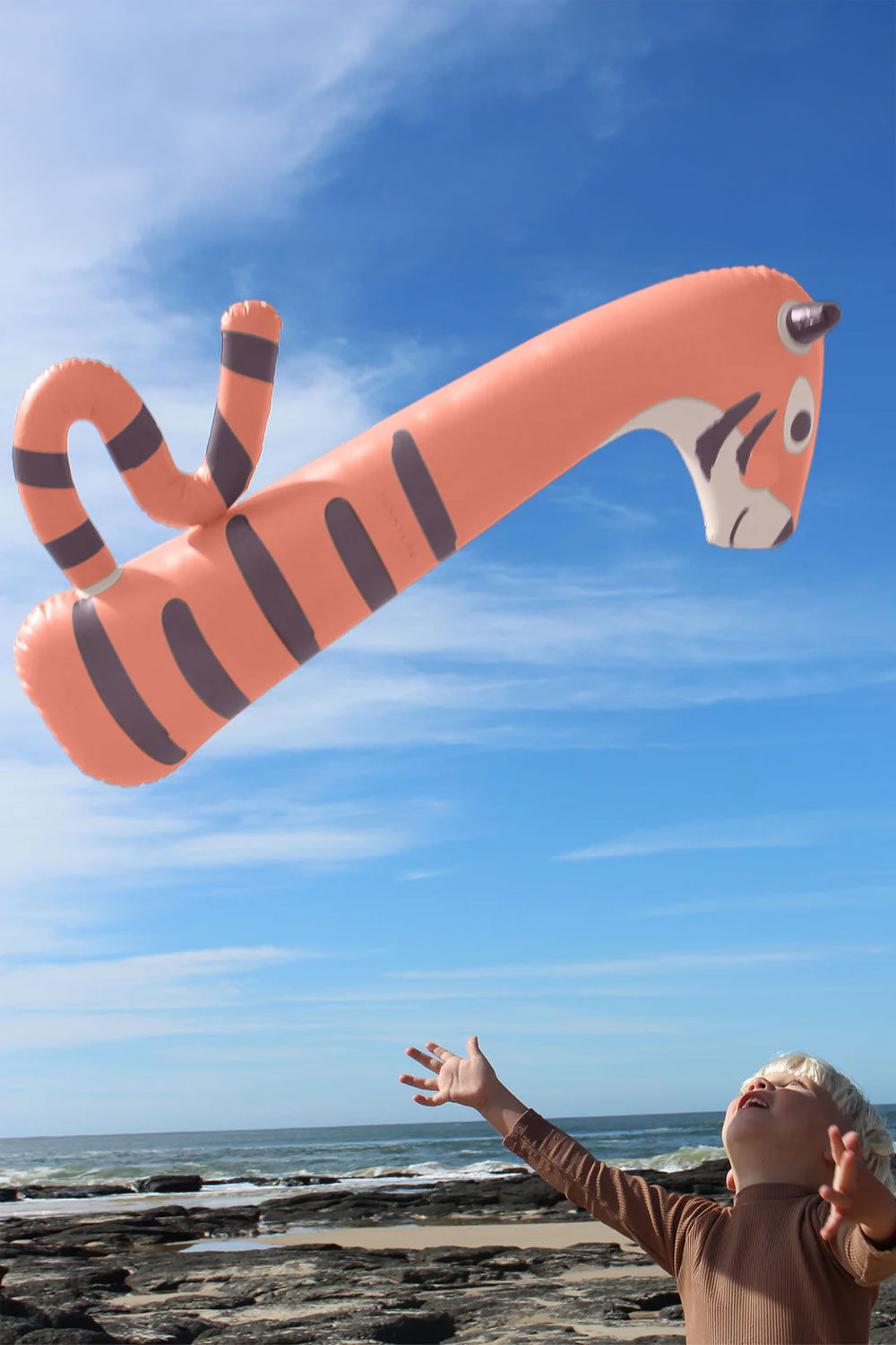 Load image into Gallery viewer, Kids Inflatable Noodle Tino Tiger Clay Set of 2
