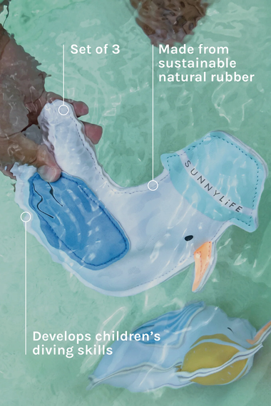 Dive Buddies Sid the Seagull Multi Set of 3