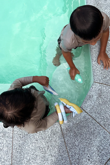 Dive Buddies Sid the Seagull Multi Set of 6