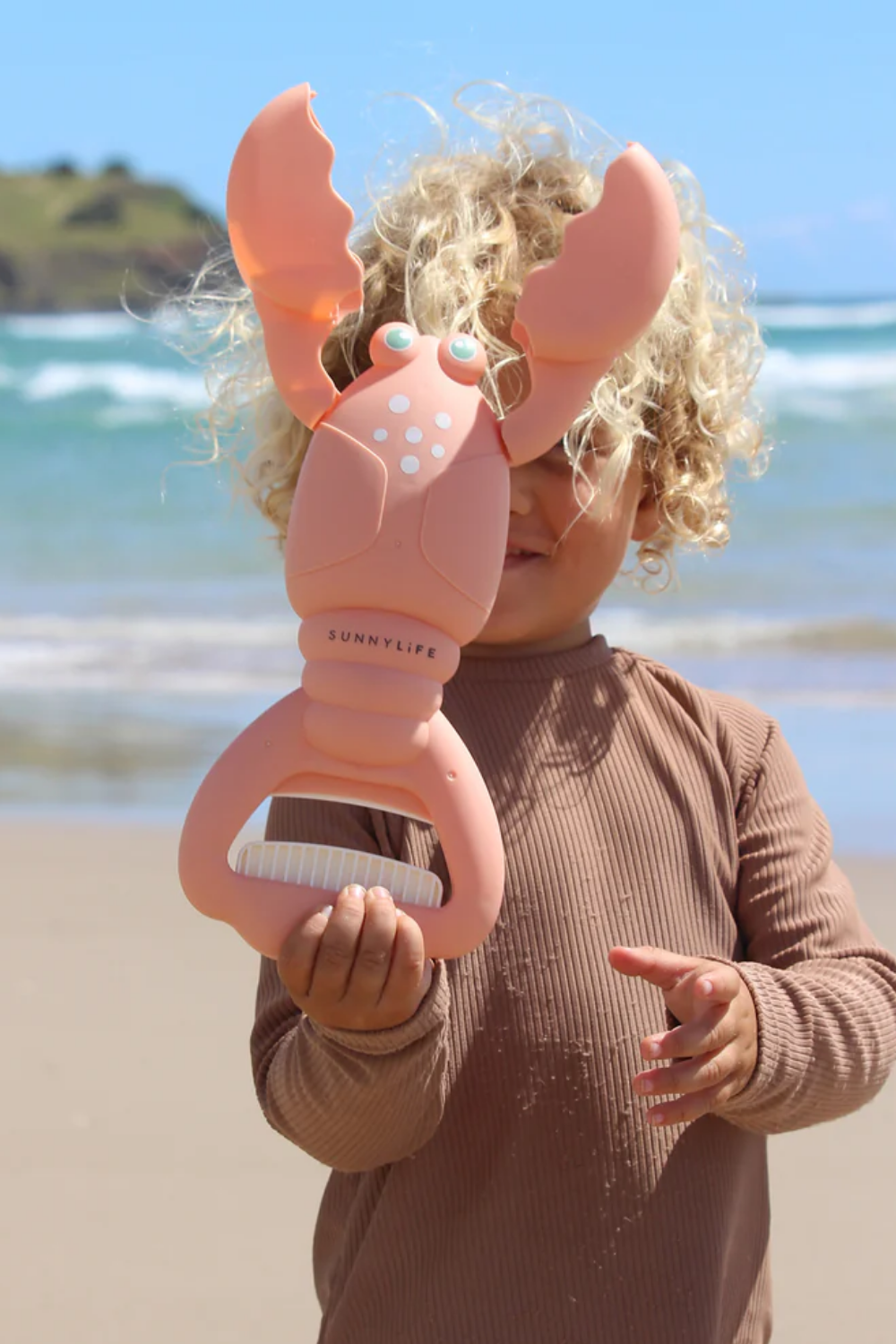 Load image into Gallery viewer, Sand Claws Lobster Coral
