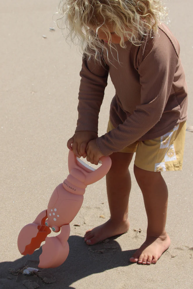 Sand Claws Lobster Coral