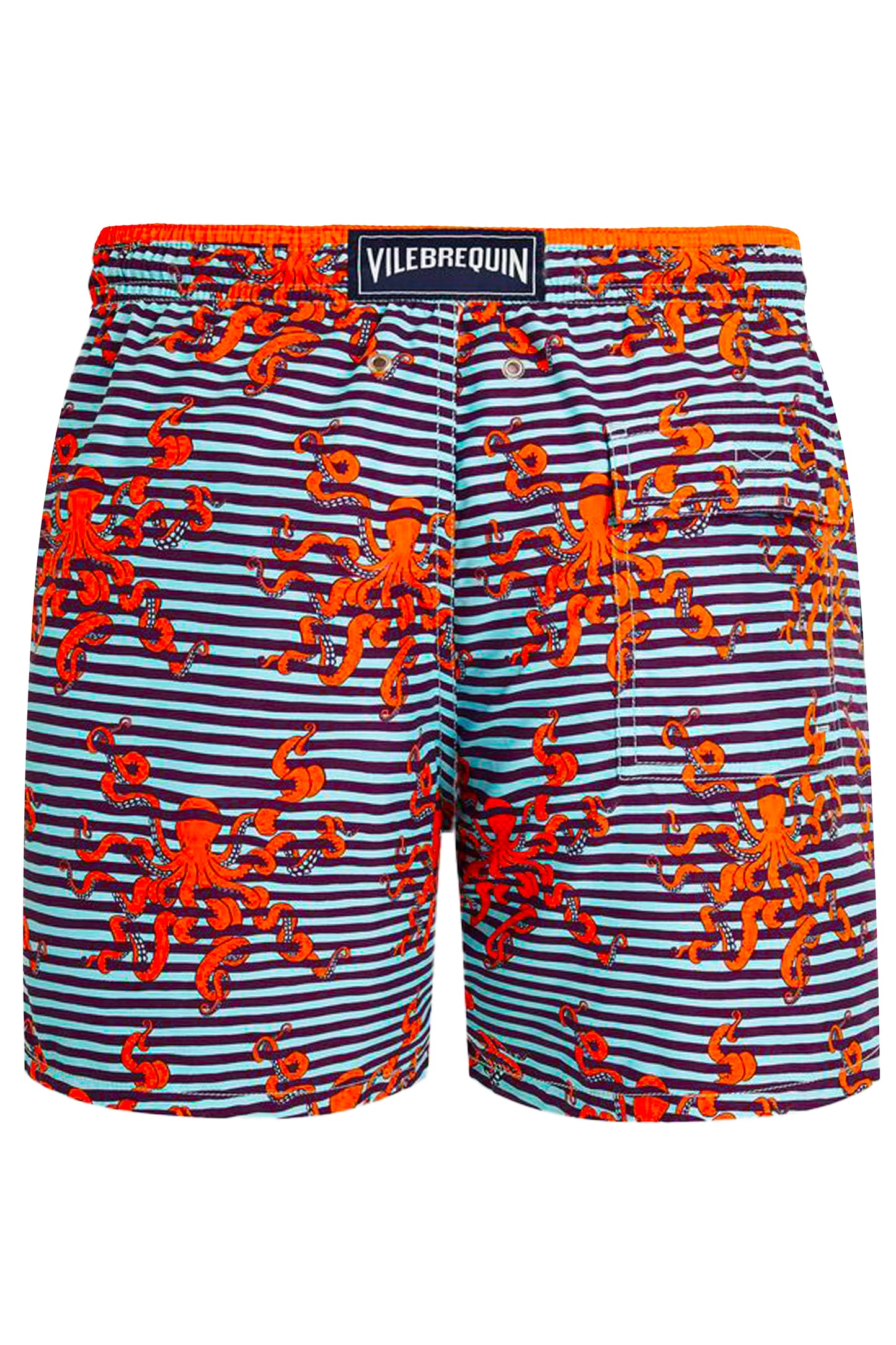 Load image into Gallery viewer, Men Bicolor Swim Shorts Octopus in Stripes
