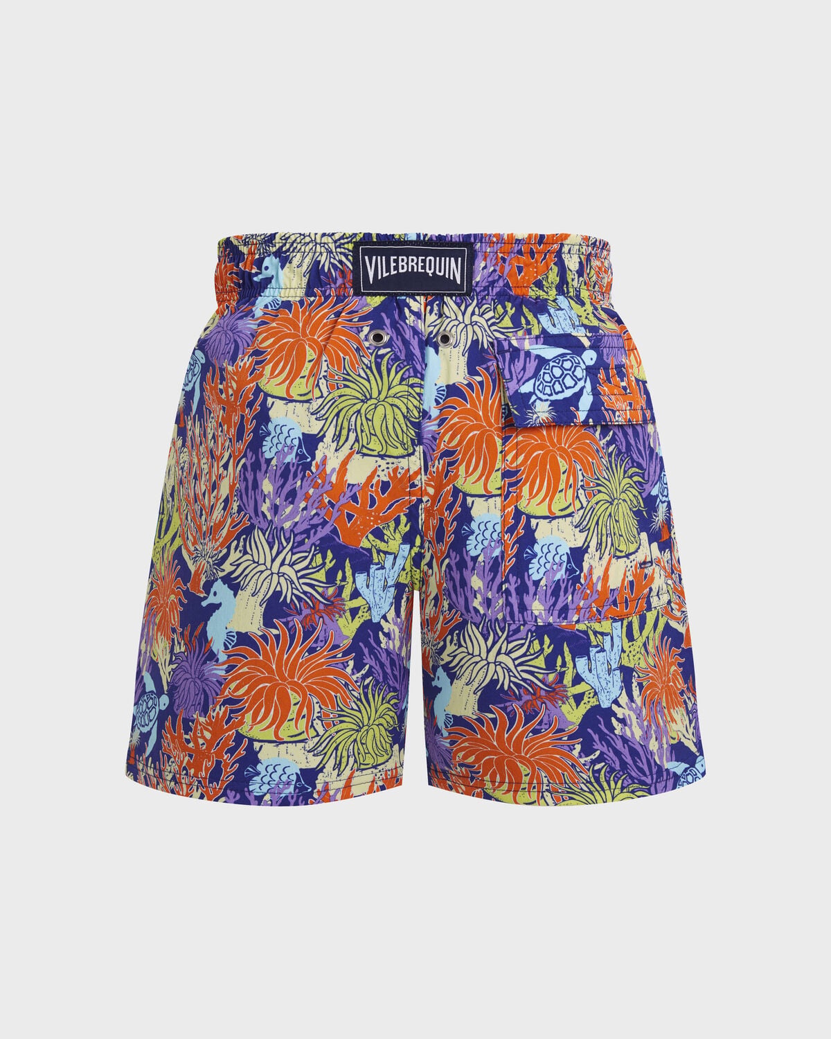 Load image into Gallery viewer, Boys Stretch Swim Shorts Aquatic Life Versailles
