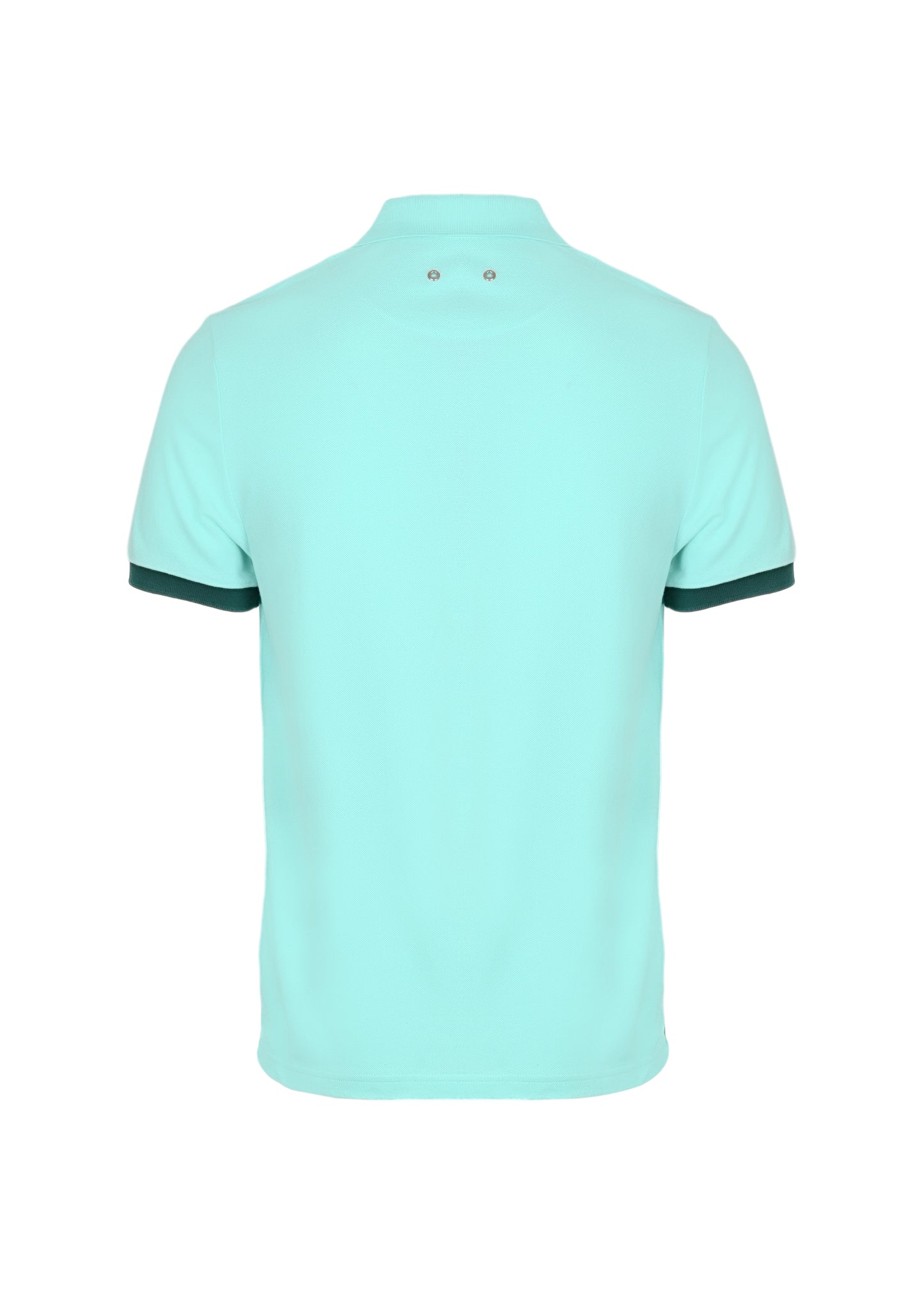 Load image into Gallery viewer, Palatin Cotton Polo Blue Lagoon - Polo Shirt
