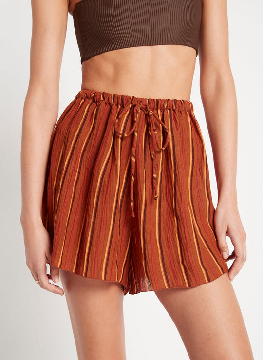 Womens High Waisted Shorts in Orange/Brown Stripes