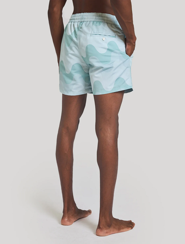 Mens Printed Swim Shorts