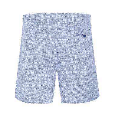 Mens Designer Swim Trunks in Purple 