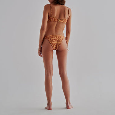 Brazil Bottom Mustard/Arabesque Brown - Bikini Bottom