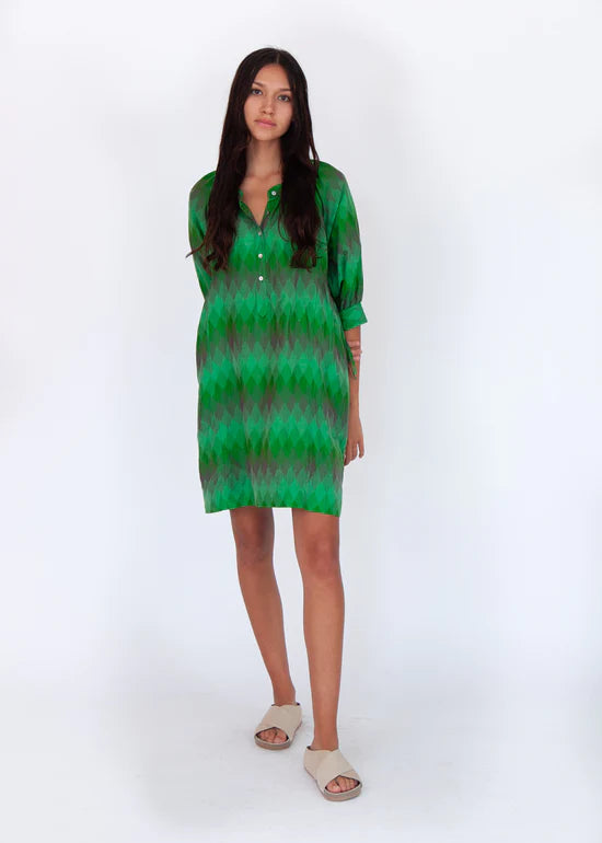Green Dress in Ikat Print