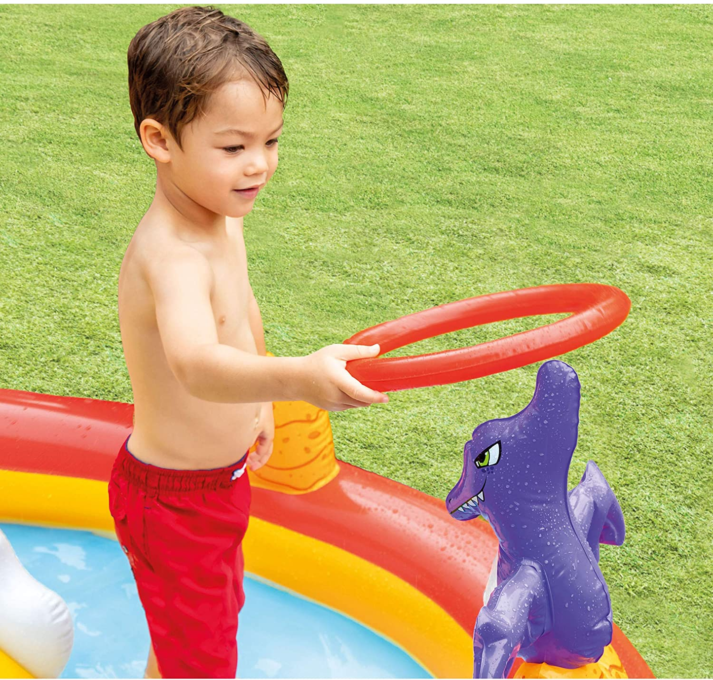 Happy Dino Play Center