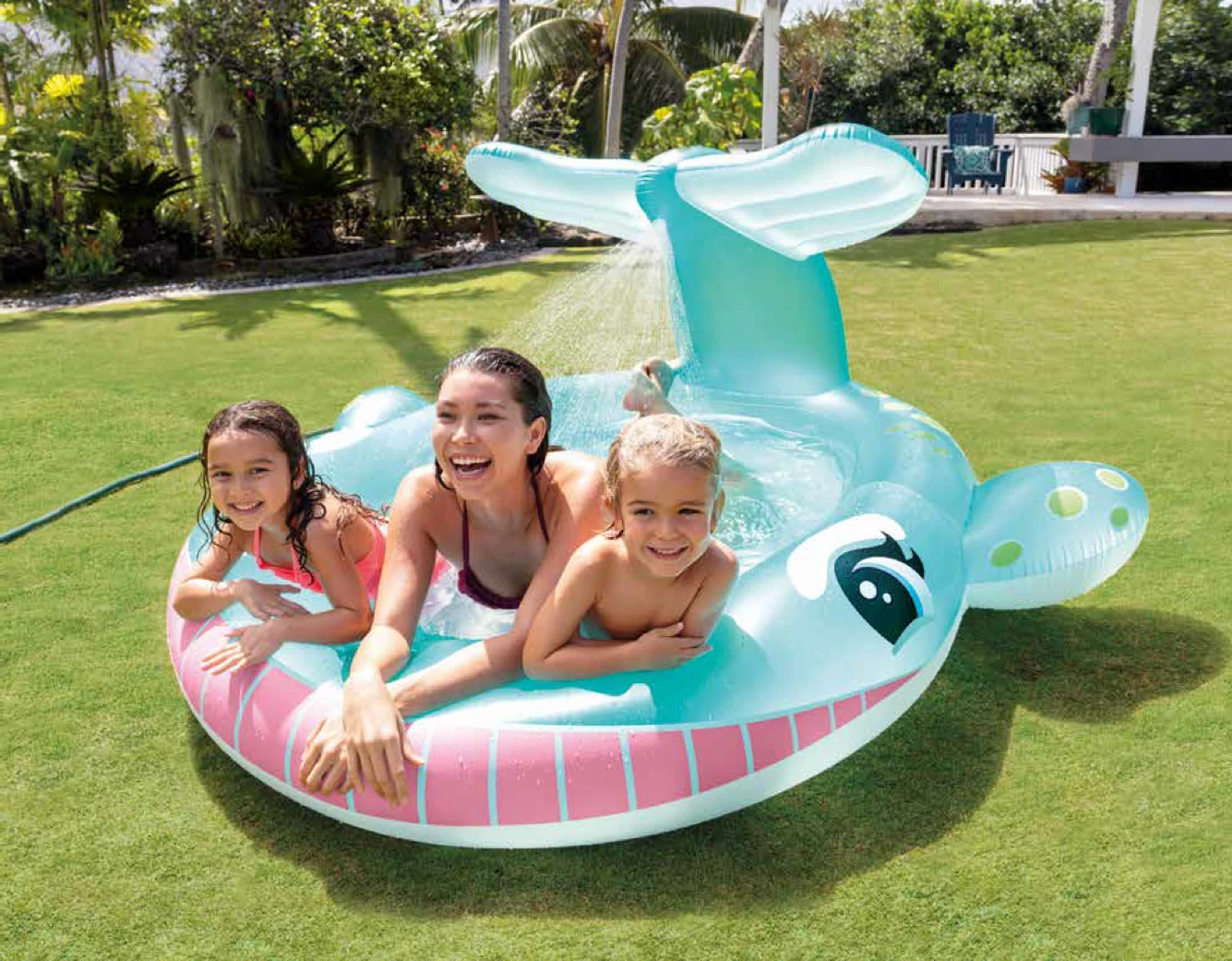 Whale Spray Pool
