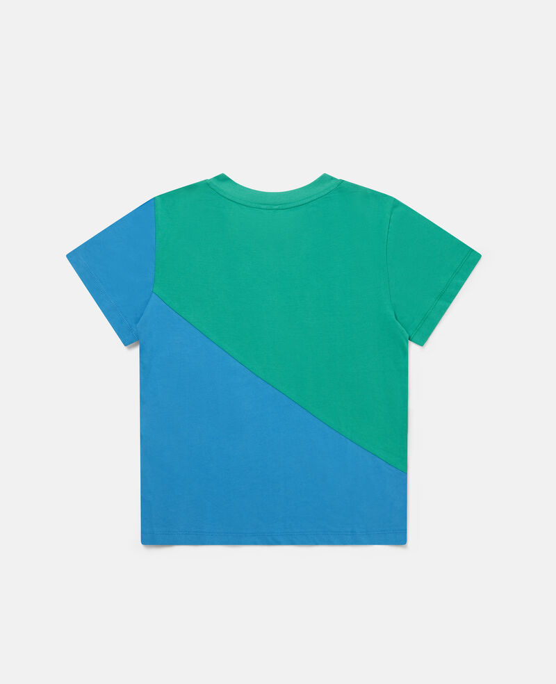 Load image into Gallery viewer, Colour Block T Shirt for Kids
